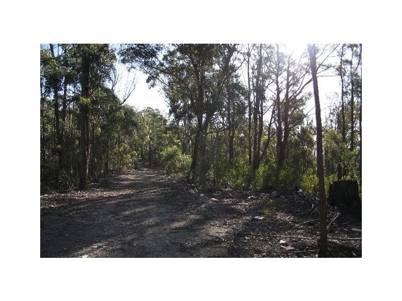 LOT 205 Joadja Road, Joadja NSW 2575