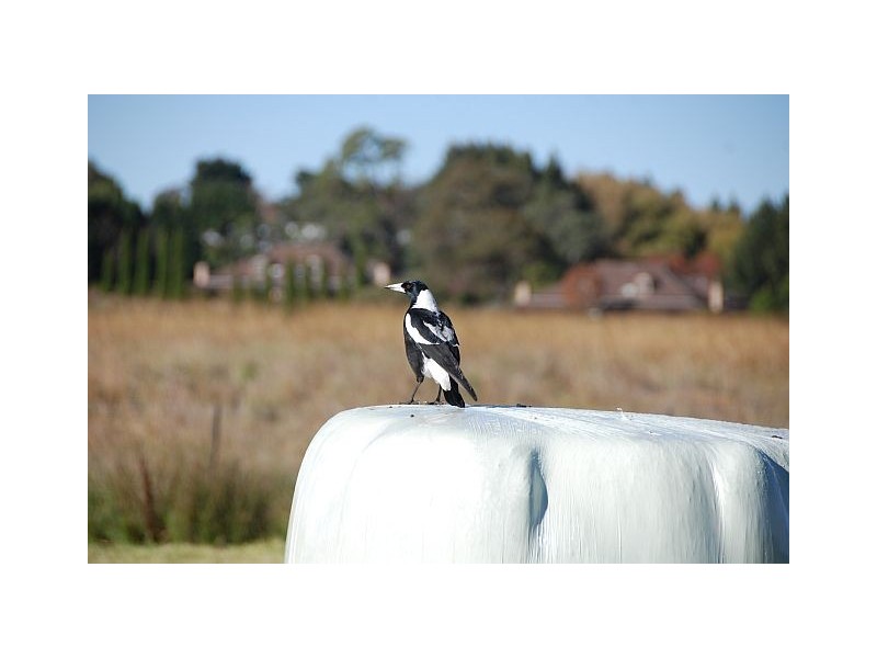 Lot 3 Songline Place, Burradoo NSW 2576