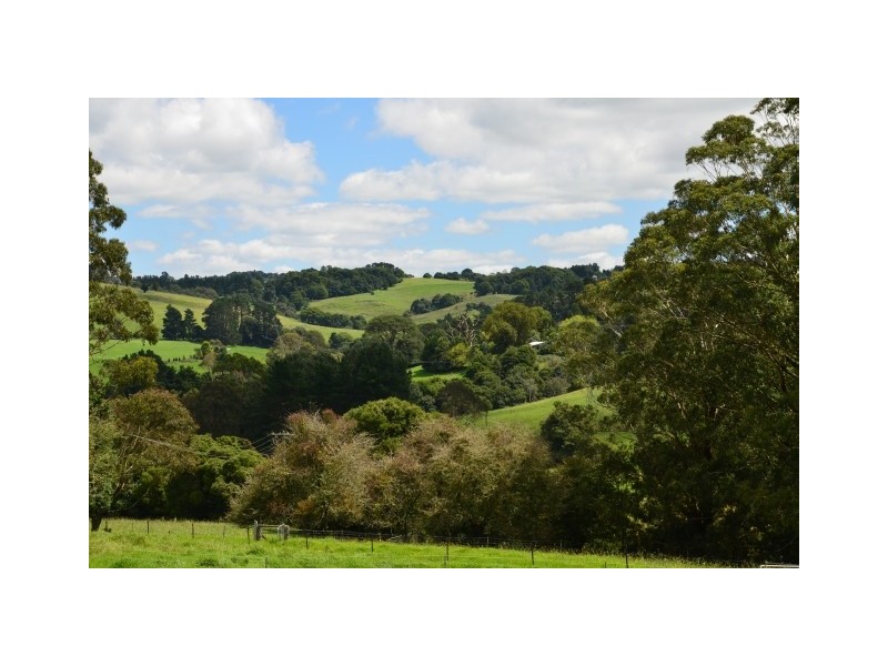 149 Belmore Falls Road, Robertson NSW 2577
