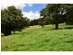 149 Belmore Falls Road, Robertson NSW 2577