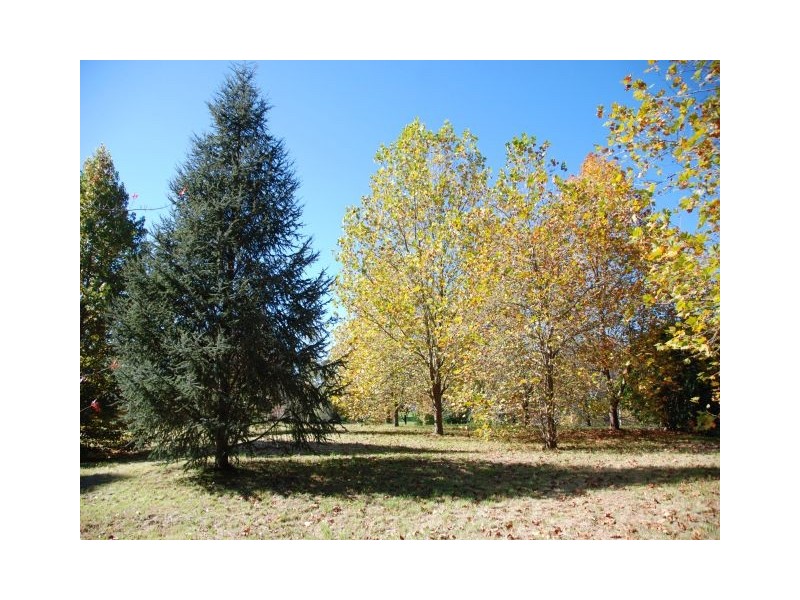 Lot 3 Penrose Road, Penrose NSW 2579