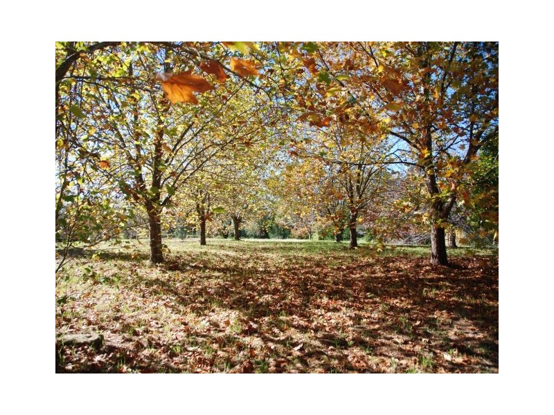 Lot 3 Penrose Road, Penrose NSW 2579