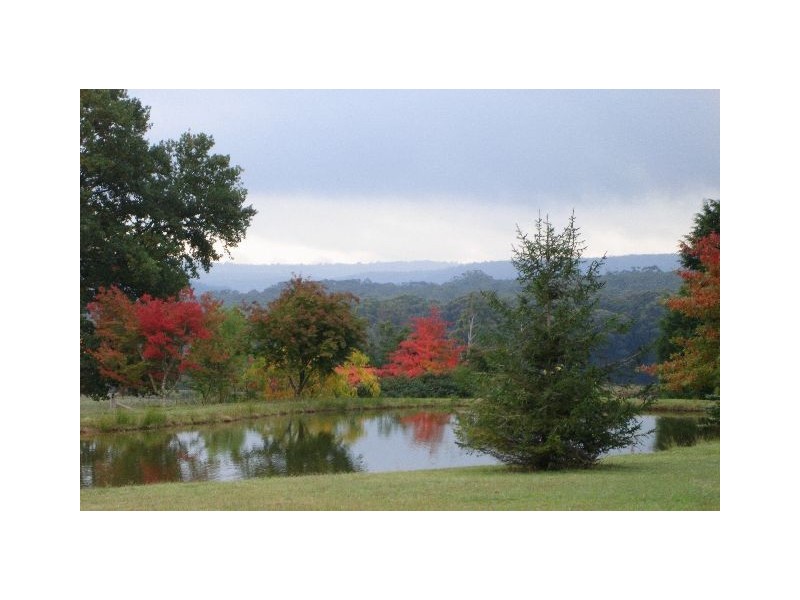 1035 Meryla Road, Moss Vale NSW 2577