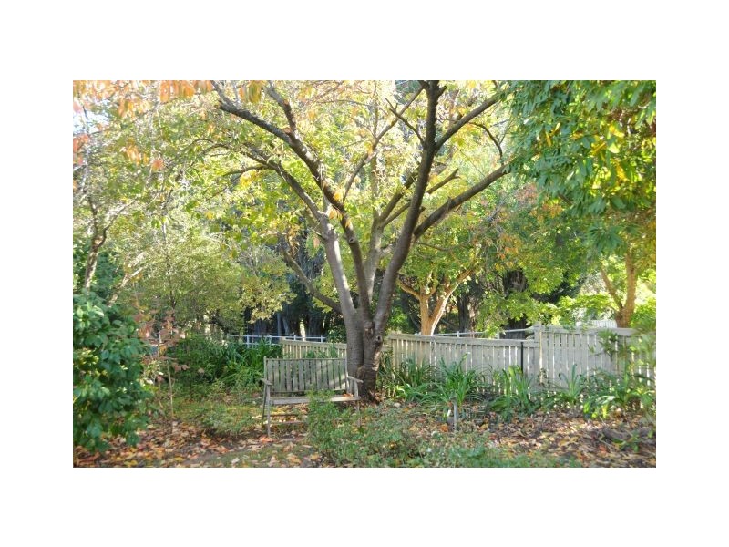 58 Bendooley Street, Bowral NSW 2576