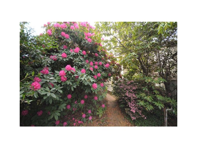 58 Bendooley Street, Bowral NSW 2576