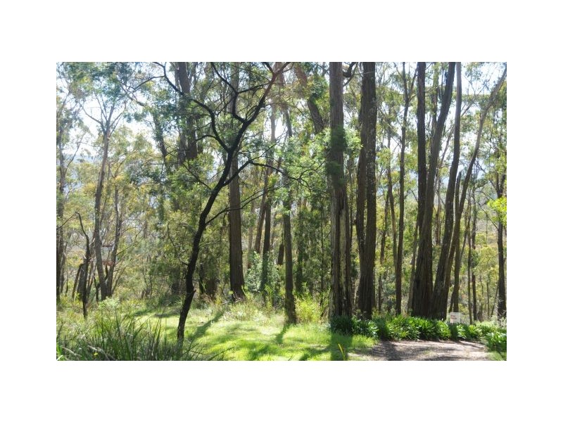 Lot 62 King Street, Bowral NSW 2576