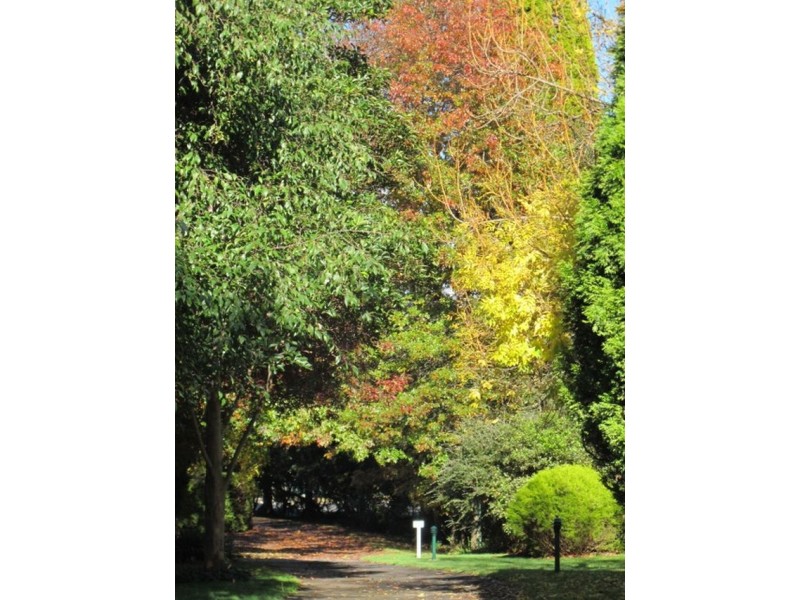 34C Kangaloon Road, Bowral NSW 2576