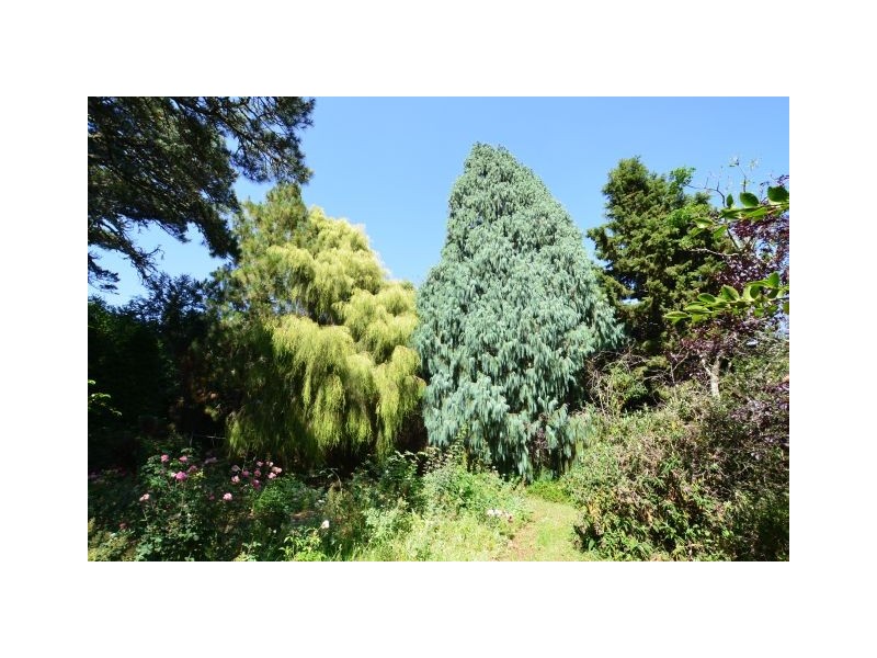 8-10 Lemmons Road, Robertson NSW 2577