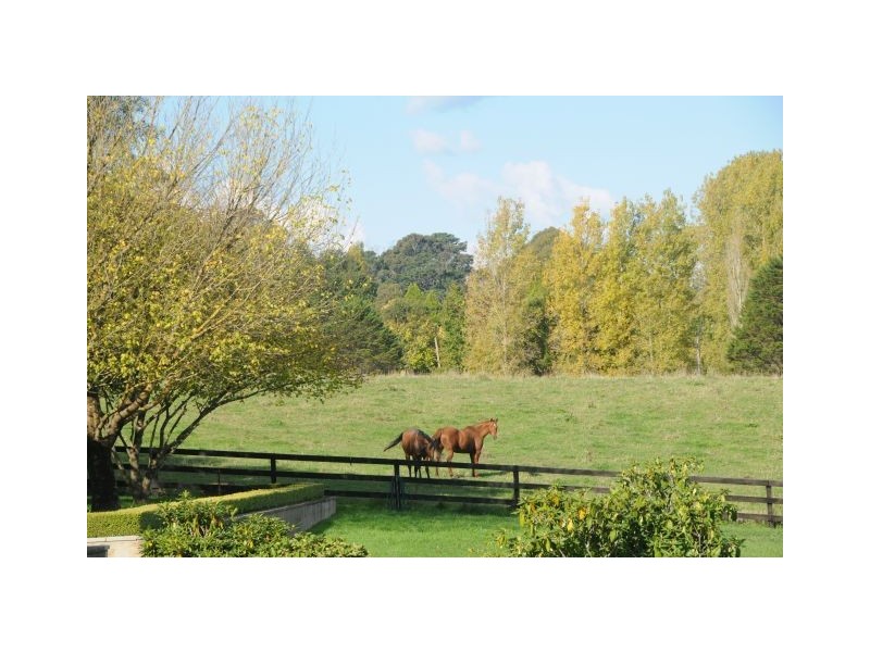 51 Ringwood Lane, Exeter NSW 2579