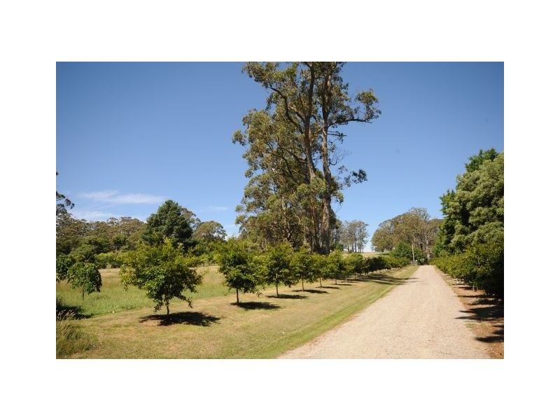 140 Blencowes Lane, Wildes Meadow NSW 2577