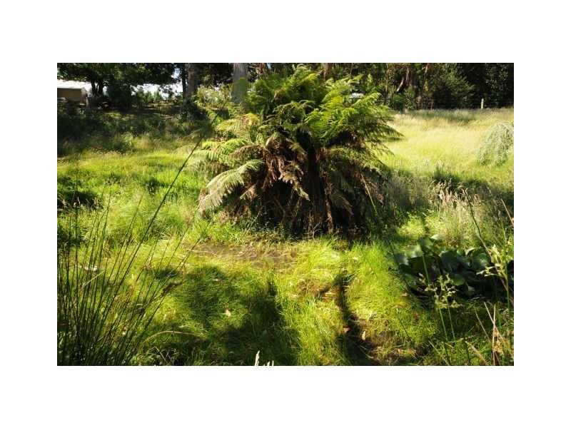 140 Blencowes Lane, Wildes Meadow NSW 2577