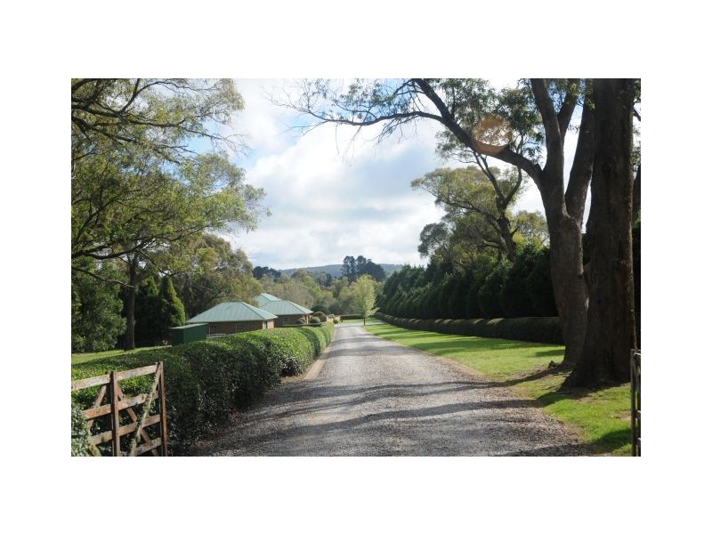 51 Village Road, Sutton Forest NSW 2577