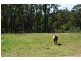 84 Newbury Drive, Penrose NSW 2579