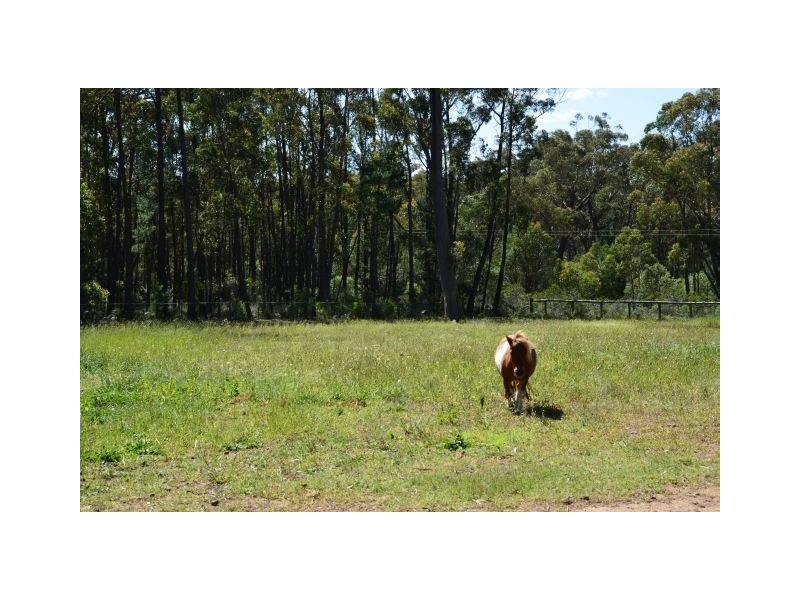 84 Newbury Drive, Penrose NSW 2579