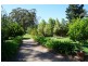 84 Newbury Drive, Penrose NSW 2579