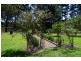 84 Newbury Drive, Penrose NSW 2579