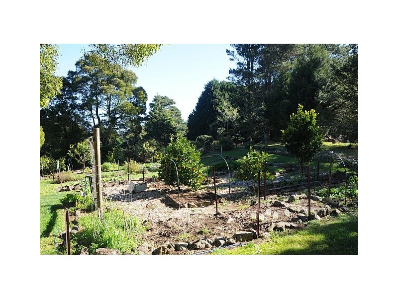 78 – 85 Mackeys Lane, Robertson NSW 2577