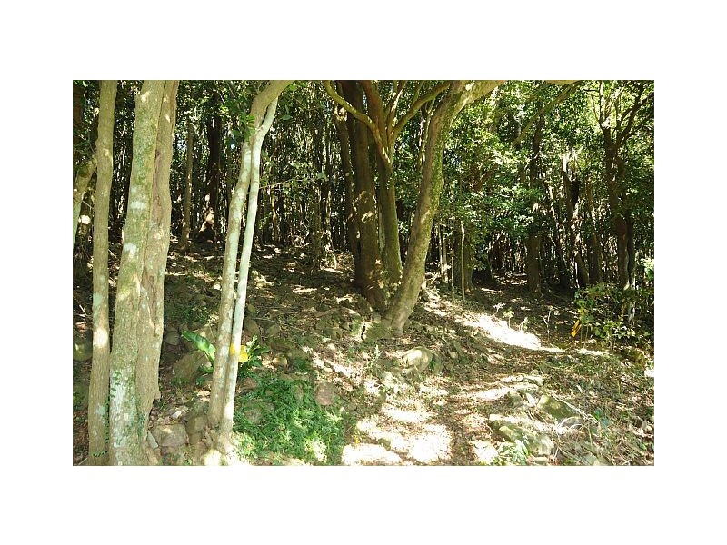 78 – 85 Mackeys Lane, Robertson NSW 2577