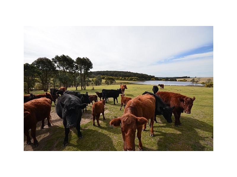 831 Redhills Road, Marulan NSW 2579