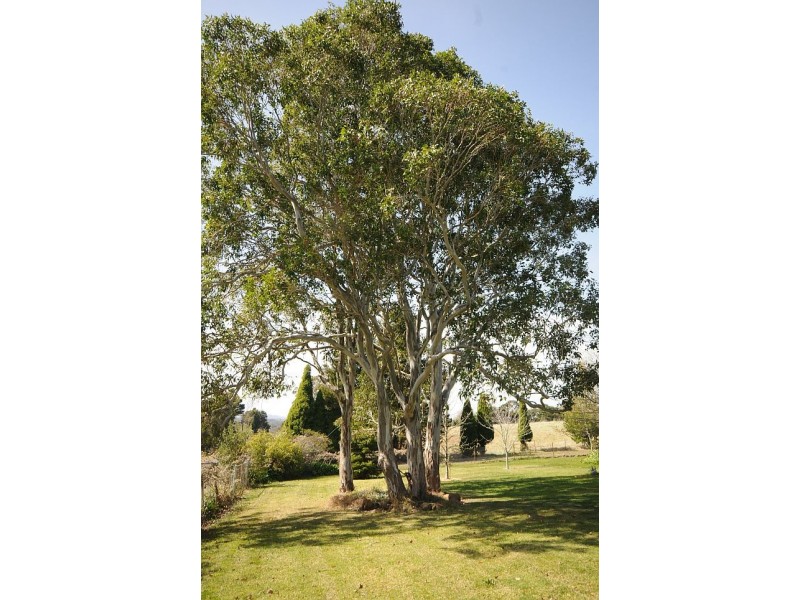 10 Hill Road, Moss Vale NSW 2577