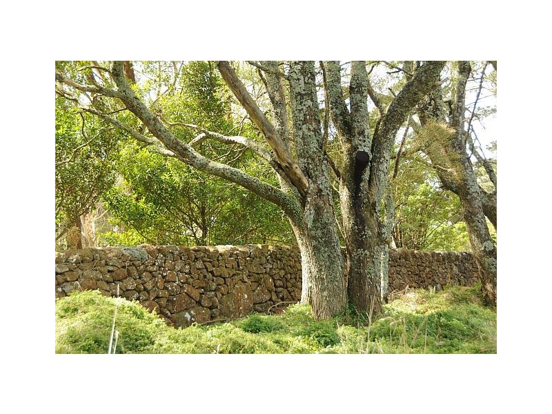 1771 and 1781 Kangaloon Road, Kangaloon NSW 2576