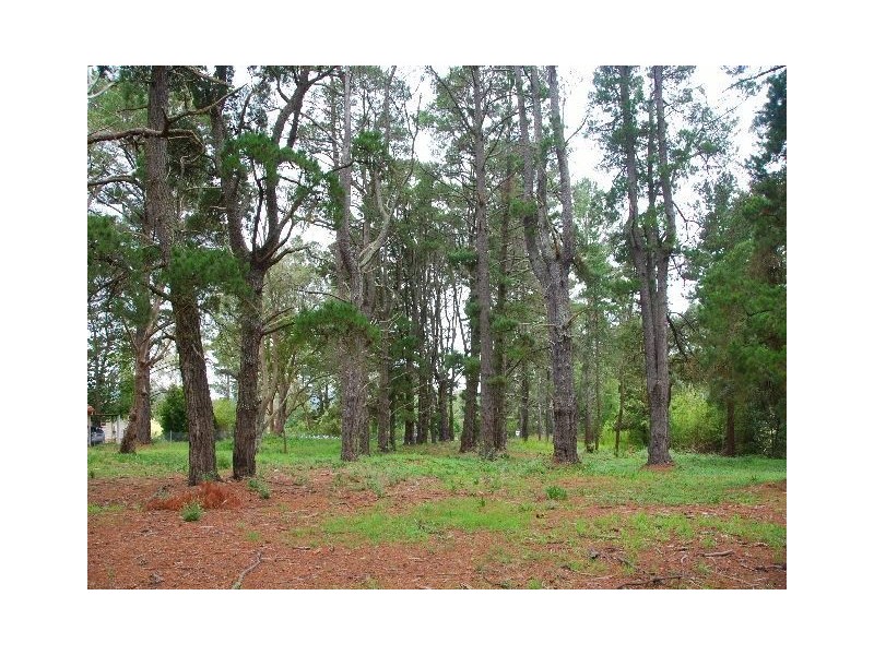 Lot 2 Burradoo Road, Burradoo NSW 2576