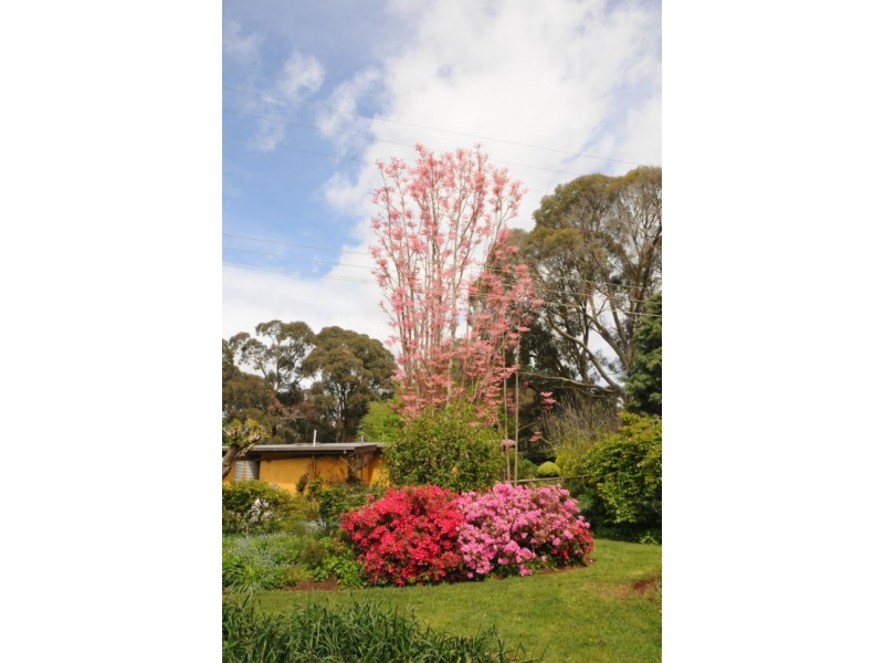 251 Sproules Lane, Bowral NSW 2576