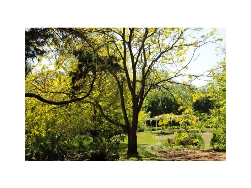 251 Sproules Lane, Bowral NSW 2576