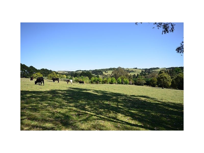 149 Belmore Falls Road, Robertson NSW 2577