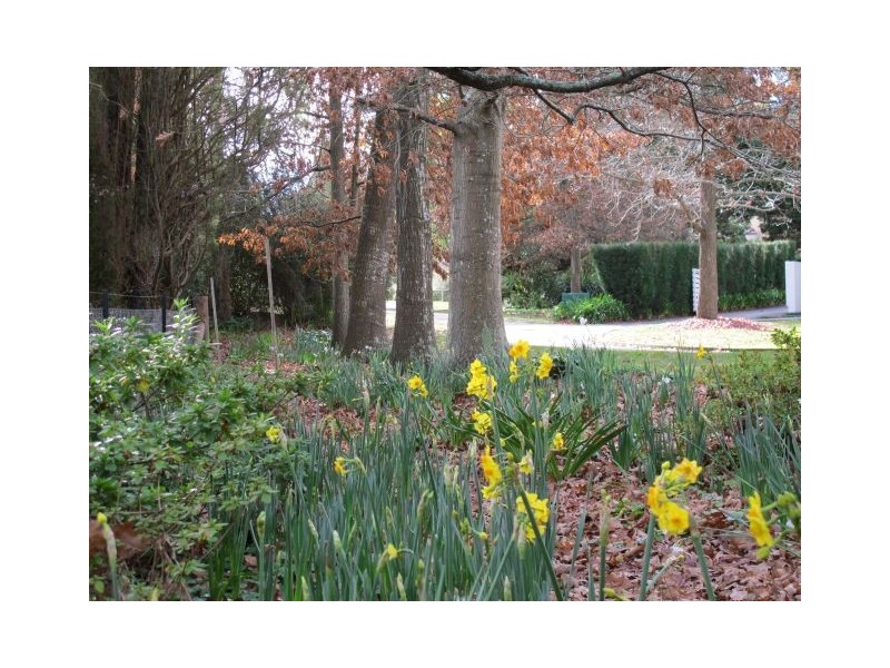 34C Kangaloon Road, Bowral NSW 2576