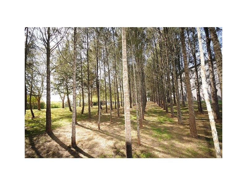 10 Hill Road, Moss Vale NSW 2577