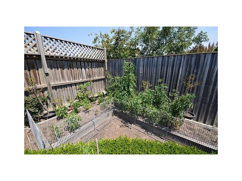 20 Warby Street, Bowral NSW 2576