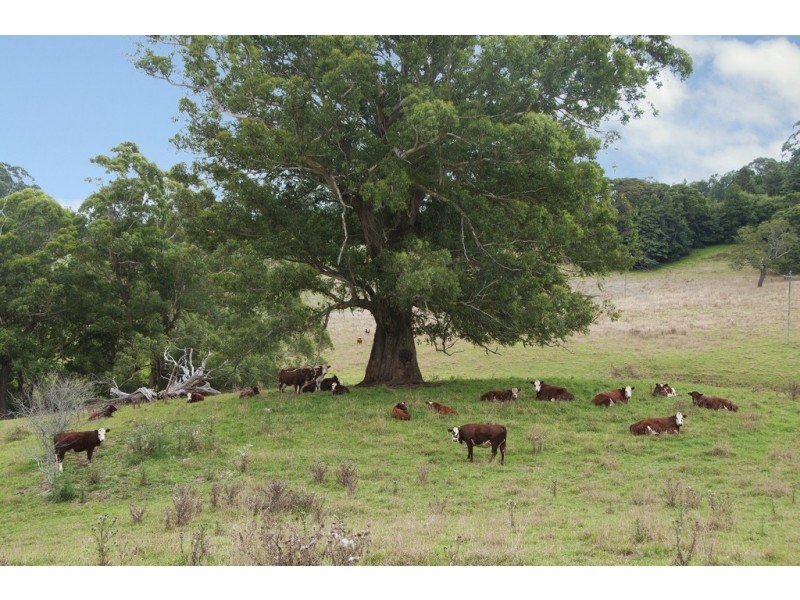 60 Warreeah Lane, Kangaloon NSW 2576