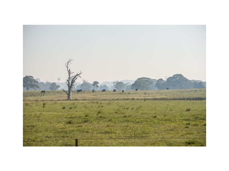 3081 Canyonleigh Road, Sutton Forest NSW 2577
