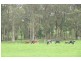 Rosemeadow Maloneys Road, East Kangaloon NSW 2576