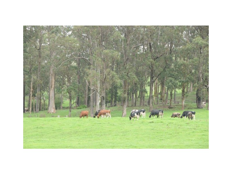Rosemeadow Maloneys Road, East Kangaloon NSW 2576