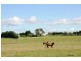 42 Handleys Lane, Mittagong NSW 2575