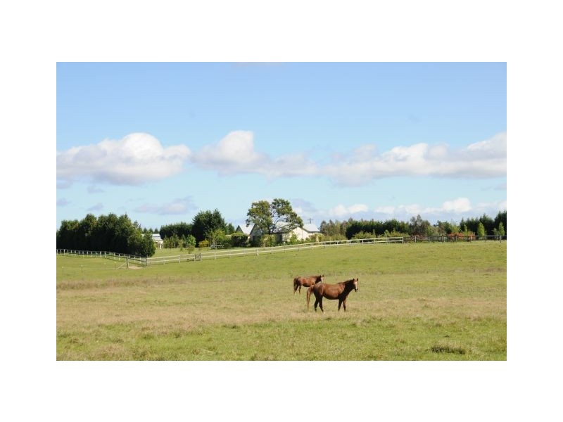 42 Handleys Lane, Mittagong NSW 2575