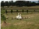 42 Handleys Lane, Mittagong NSW 2575