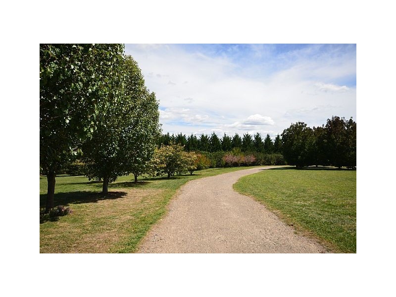 593 Sallys Corner Road, Exeter NSW 2579