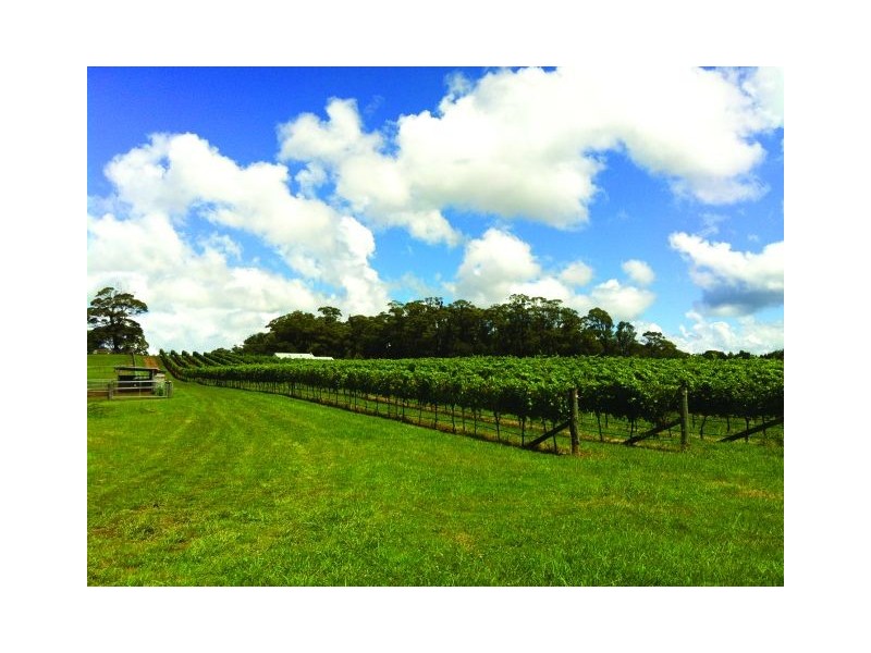 212 Sallys Corner Road, Exeter NSW 2579