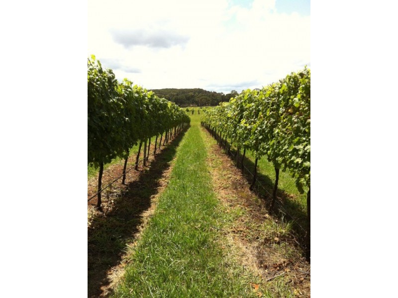 212 Sallys Corner Road, Exeter NSW 2579