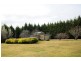 42 Cornwall Road, Exeter NSW 2579