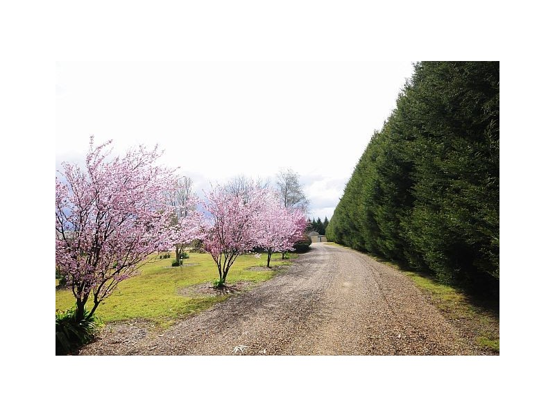 42 Cornwall Road, Exeter NSW 2579