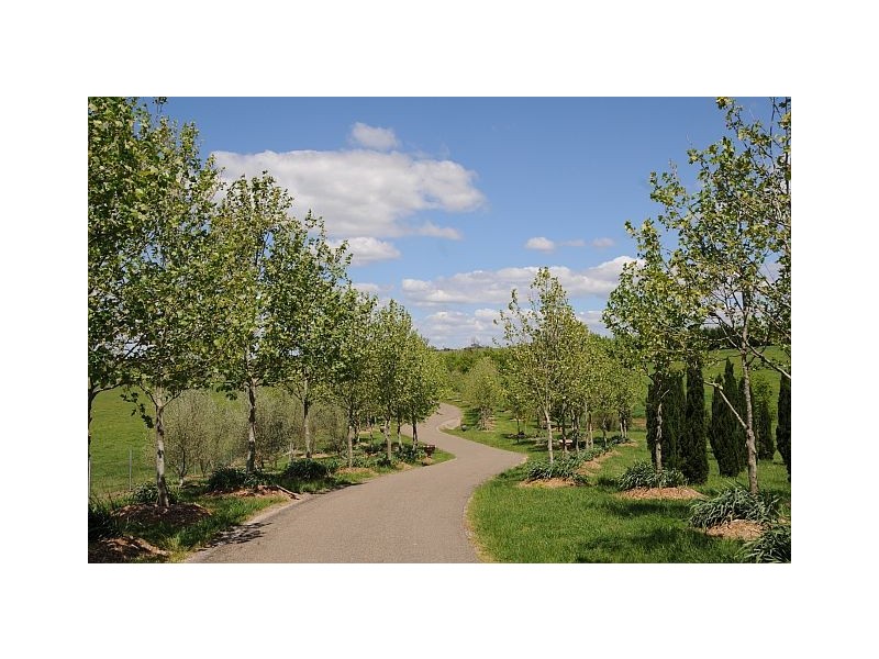 Sutton Forest NSW 2577