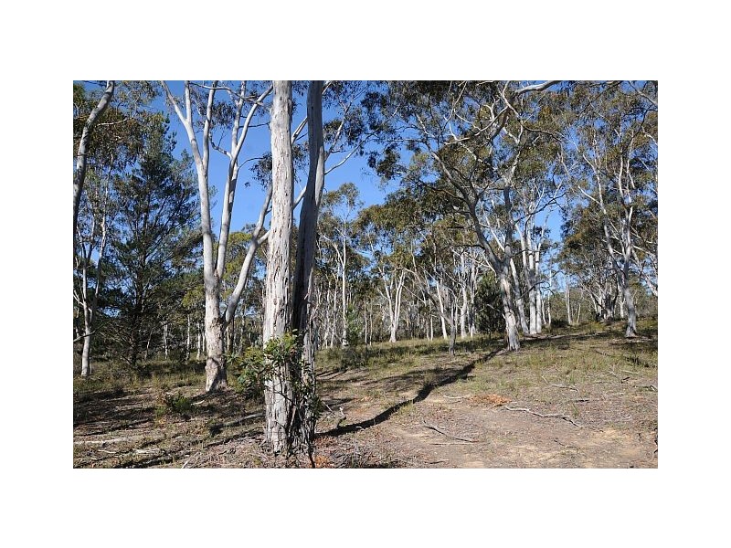 Lot 5, 500 Hanging Rock Road, Sutton Forest NSW 2577