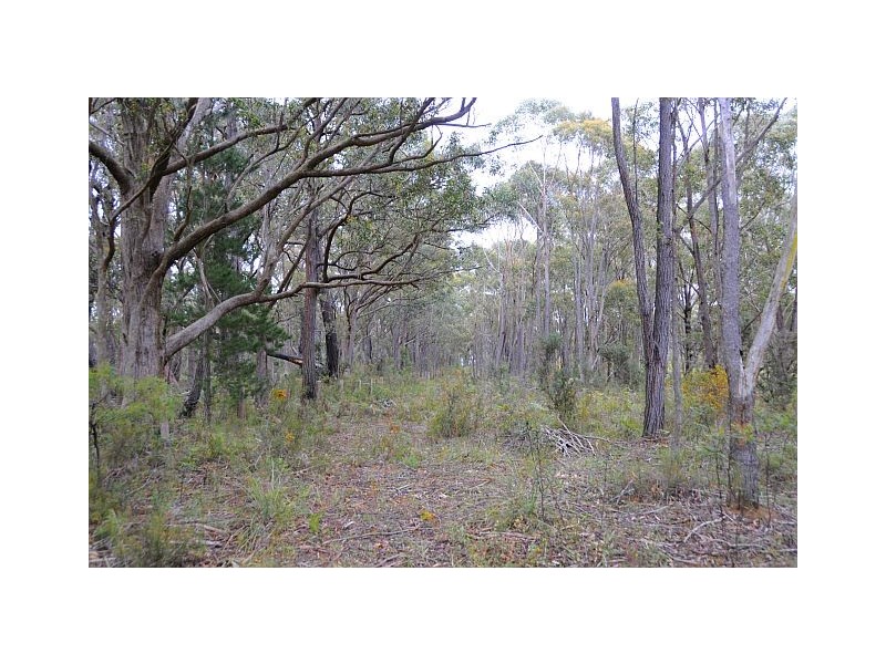 Lot 5, 500 Hanging Rock Road, Sutton Forest NSW 2577