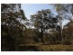 Lot 5, 500 Hanging Rock Road, Sutton Forest NSW 2577