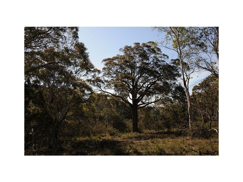 Lot 5, 500 Hanging Rock Road, Sutton Forest NSW 2577