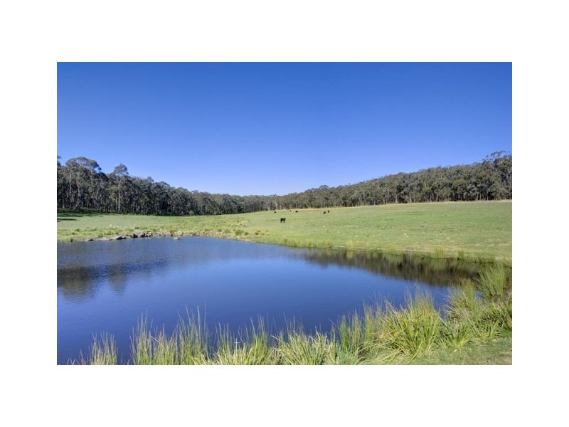 Lot 377/388 Birchalls Lane, Berrima NSW 2577